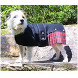 Cosi Kilt Dog Coat in Royal Stewart Tartan