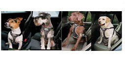 Ancol Dog Car Harness