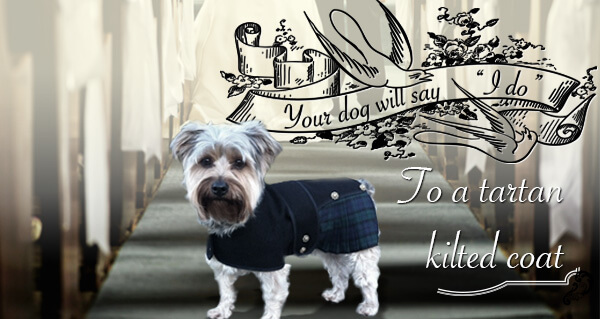 Say I do to a tartan dog coat
